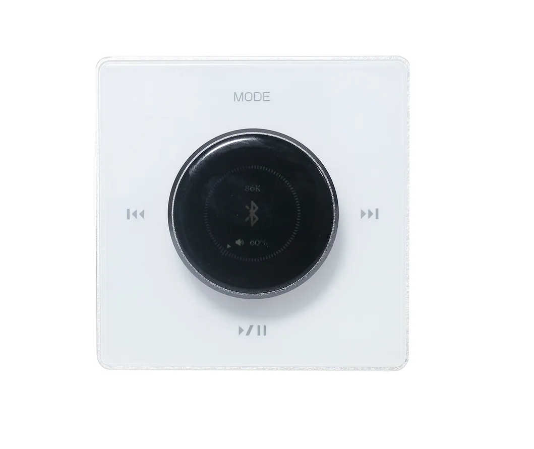 Instant Discount Multi-Home Bluetooth Volume Control with Amplifier &amp; Color Screen and Support USB and SD Card Storage