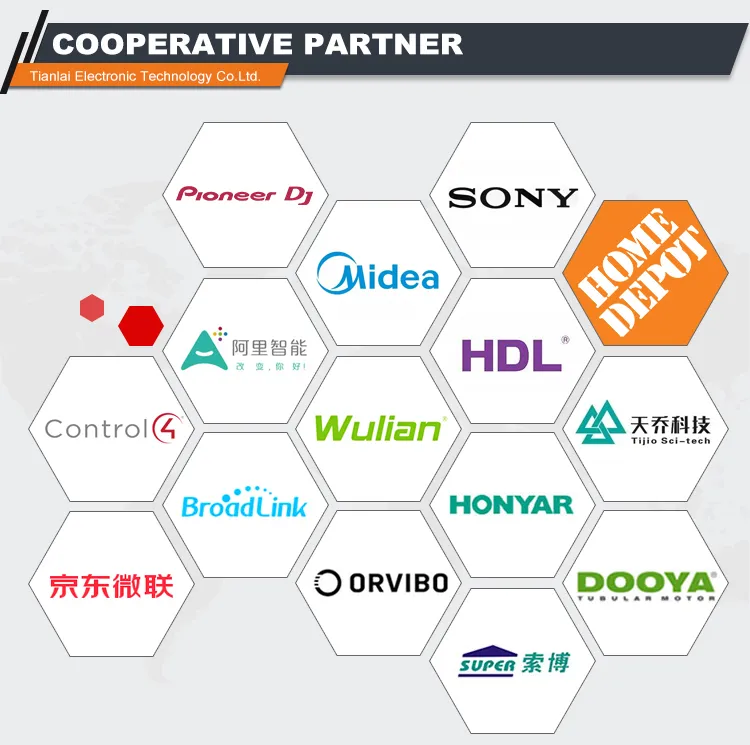 Tianlai Tl-1650 Wall Mounted Speaker 160W 6.5 Inch 2 Way Wall Mount Surround Sound Speaker