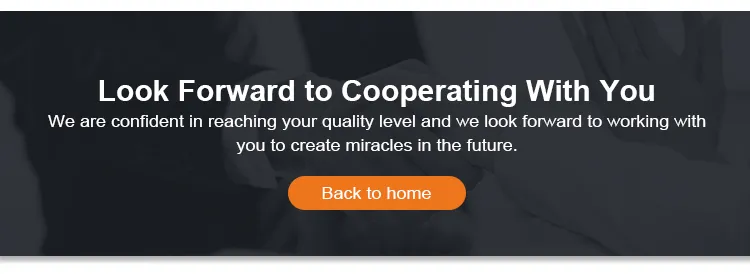 Tianlai Tl-1650 Wall Mounted Speaker 160W 6.5 Inch 2 Way Wall Mount Surround Sound Speaker