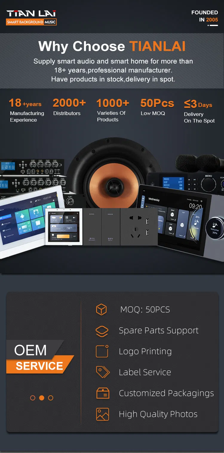 Tianlai Tl-2650 Custom High Quality Large 300W Speakers Double Wall Mounted Home Theater System