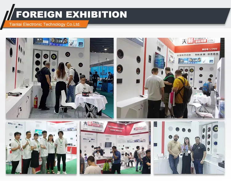 Tianlai Tl-2650 Custom High Quality Large 300W Speakers Double Wall Mounted Home Theater System