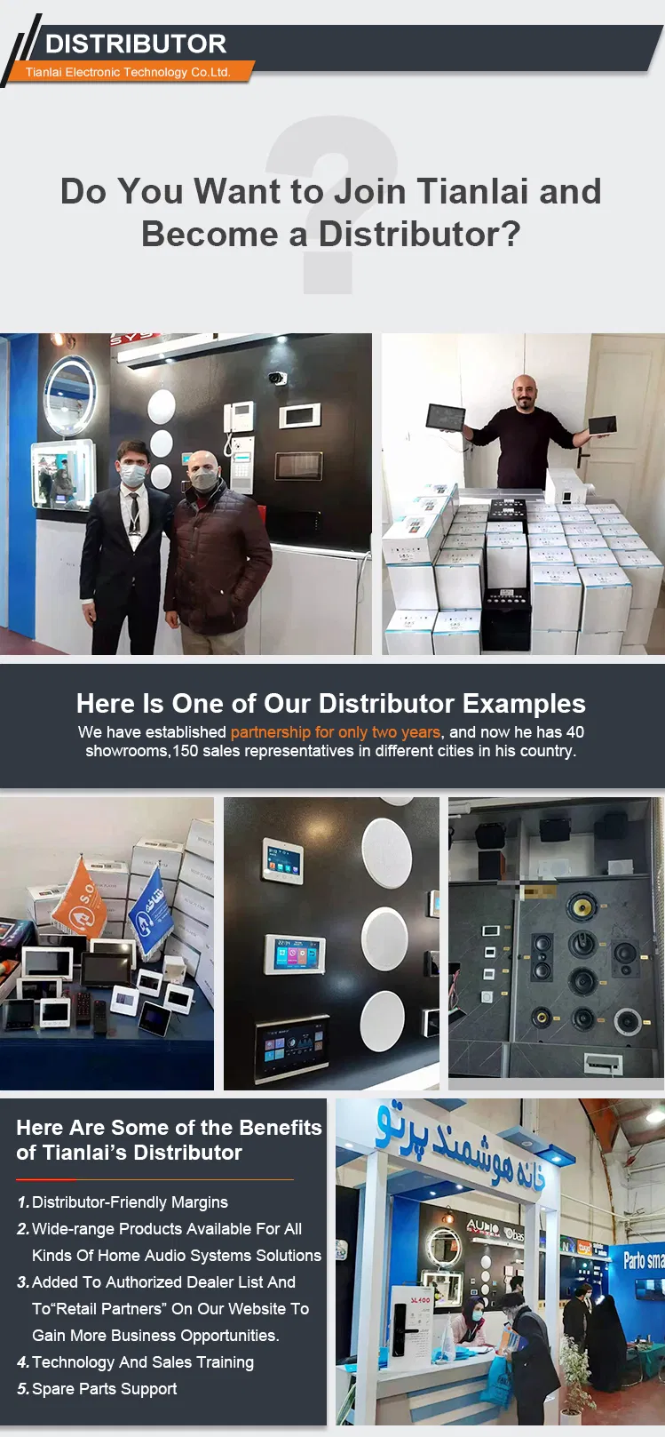 Tianlai Tl-2650 Custom High Quality Large 300W Speakers Double Wall Mounted Home Theater System