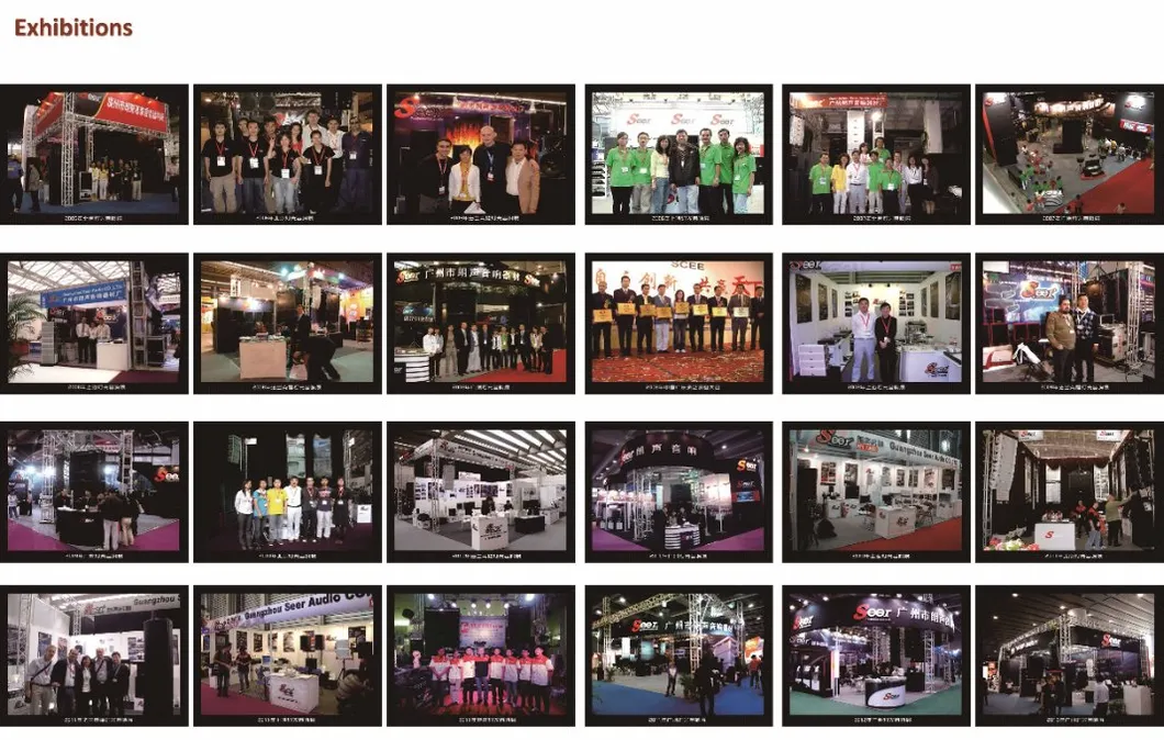 Seer Audio Single 18 Inch Cinema Speaker Professional Audio PA System Digital Amplifier Sub