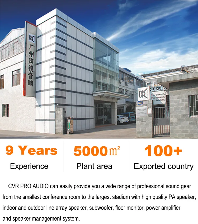 Active Powerful 8 Inch Stage Floorstanding Speakers Box