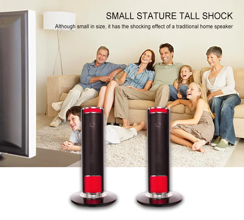 Private Home Theatre Speaker MX-1908R