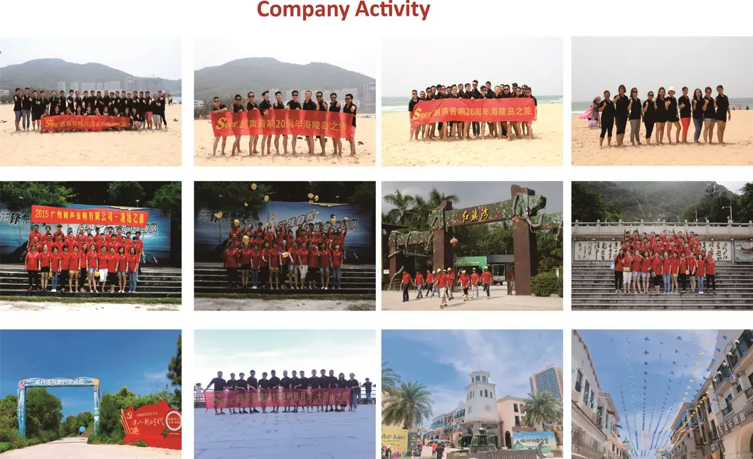 Seer Audio Home Cinema Speaker High Output 10-Inch Loudspeaker Active Line Array Speaker