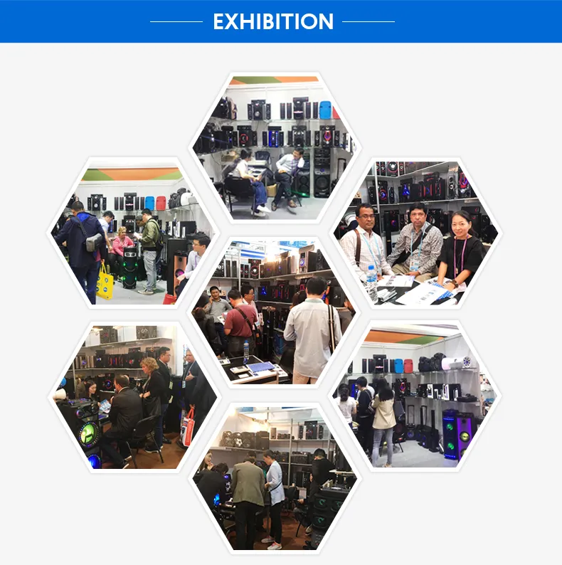 Mx-861 Private Home Theatre Speaker