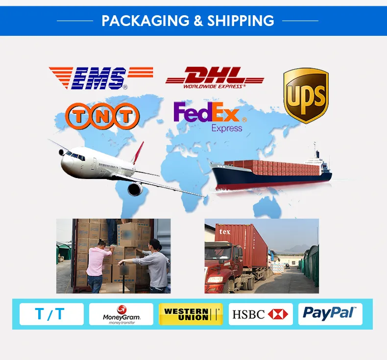 Mx-861 Private Home Theatre Speaker