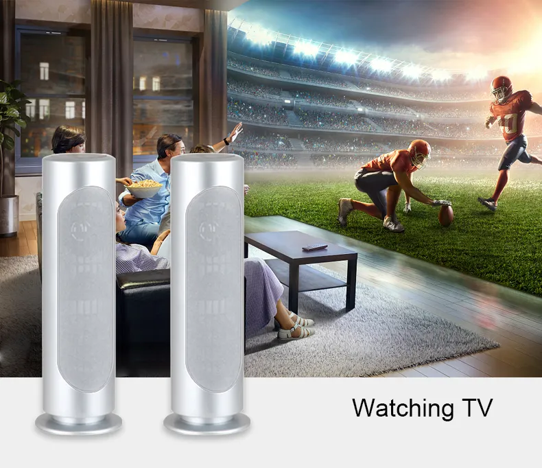 Private Home Theatre Speaker MX-6030