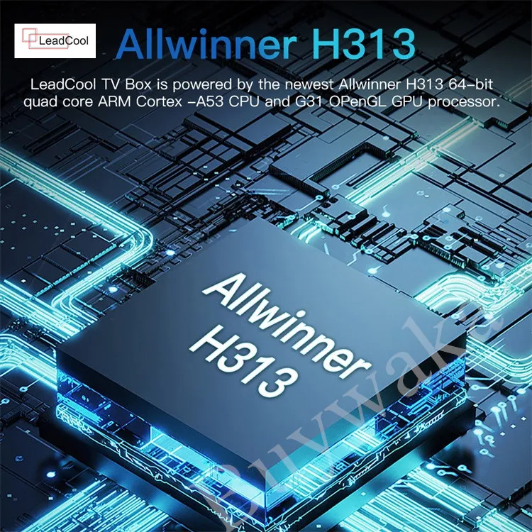 Leadcool Allwinner H313 Android 10 Set Top Box Smart TV Receiver 2GB