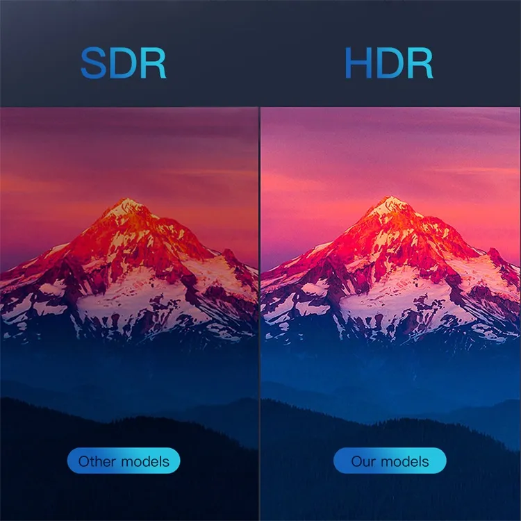 Promotional Price Leadcool H313 2GB RAM 16GB ROM Set Top Box Android 10 Smart TV Box Quad Core S905W