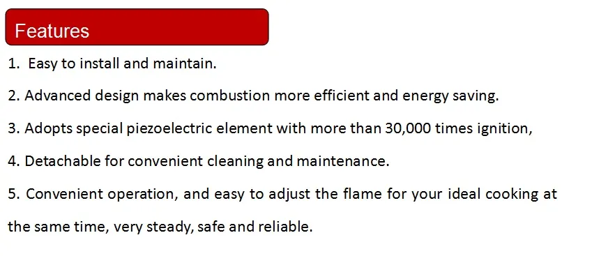 Manufacturer Cooking Appliance Double Burner Gas Stove Yg-G2086