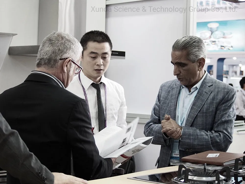 Xunda High Efficiency Tornado Flame Gas Burners 3D Painting Glass Pane Table Top Gas Stove