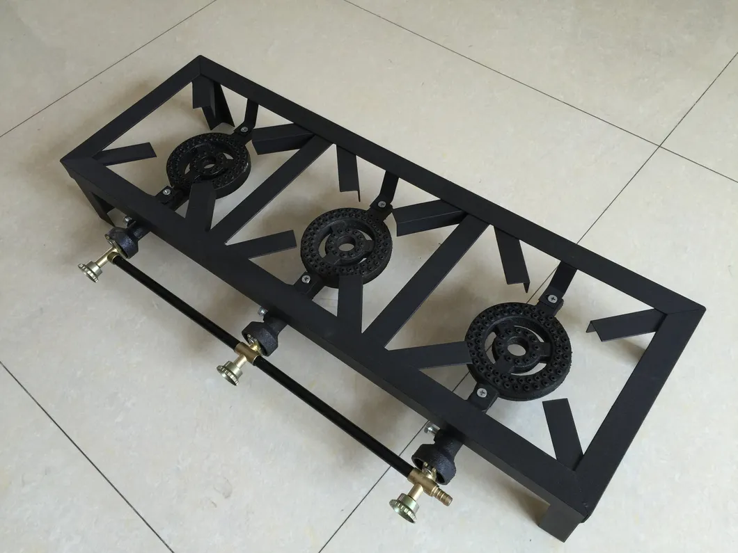 Gas Stove with 2 Burner