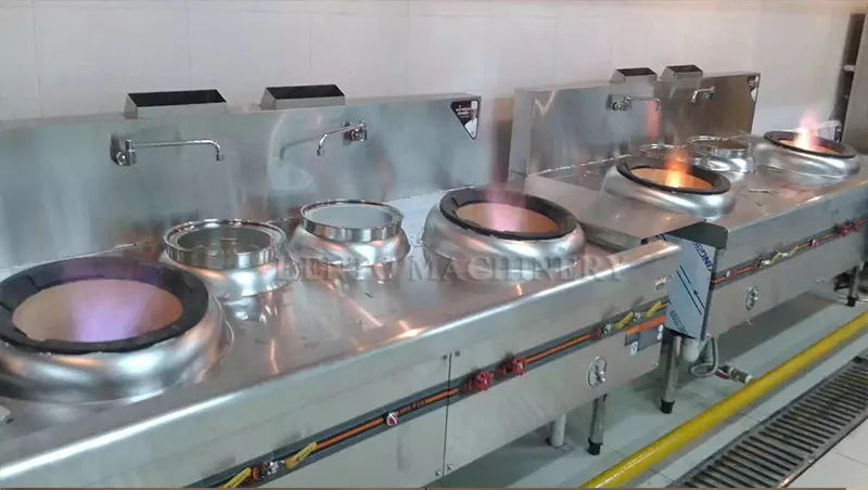 Stainless Steel Cooking Range / Cooking Stove / Gas Burner Stove