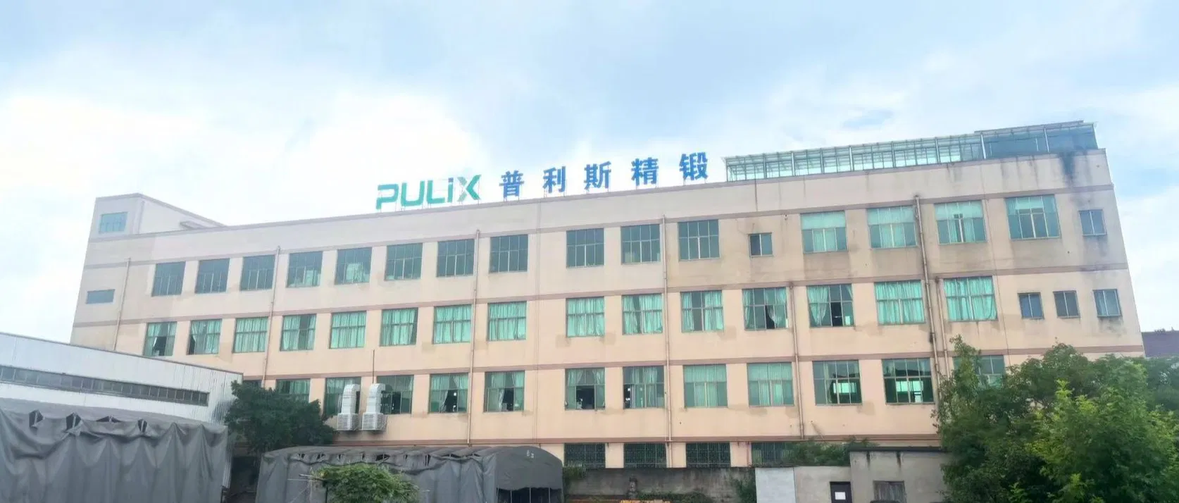 High-Efficiency Sabaf Gas Stove Burner for Daily Household Use