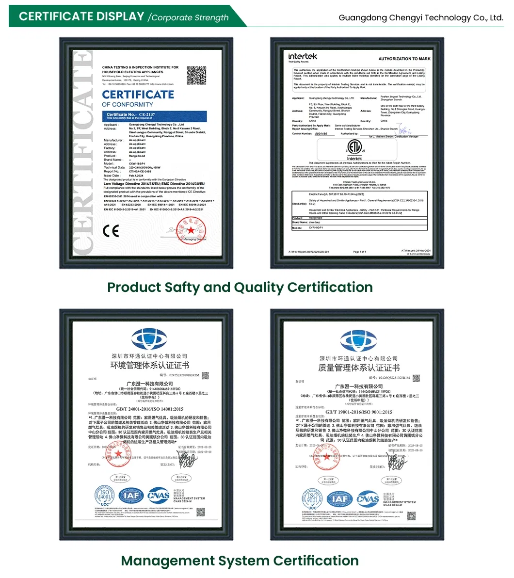 P2 Modern Kitchen Strong Suction Range Hood for Home Cooking