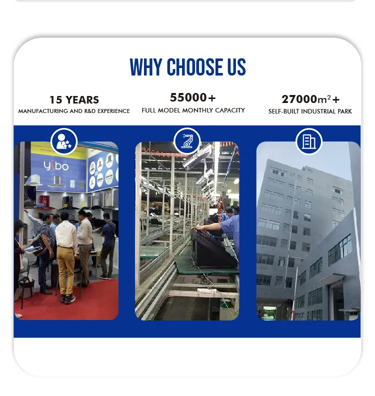 Offering Discounts Range Cooktop Competitive Price Range Hood