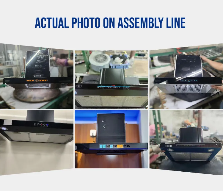 Offering Discounts Range Cooktop Competitive Price Range Hood