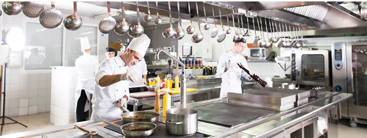 Stainless Steel Kitchen Range Cooker Hood and Kitchen Chimney Hood