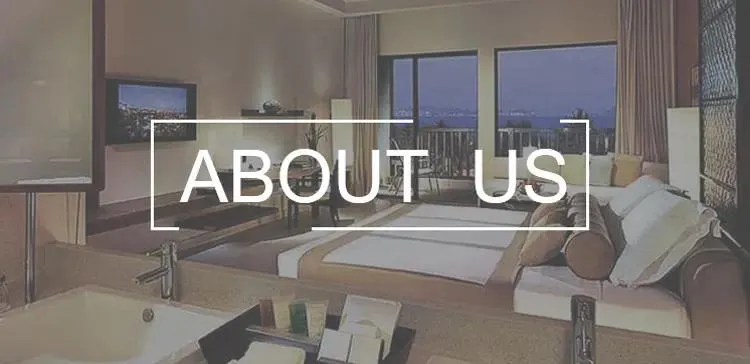 Vacuum Cleaners Popular in Brazil and Chile Low Prices Low Noise High Power Household Floor Scrubber with Big Dust Bin